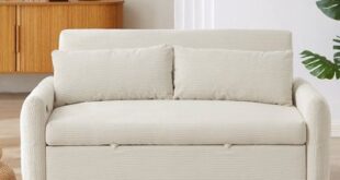 Loveseat Sofa Sleeper