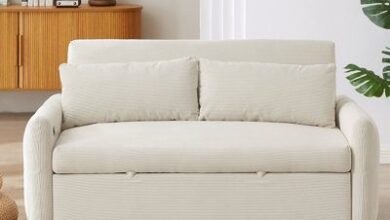Loveseat Sofa Sleeper