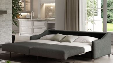 Loveseat Sofa Sleeper