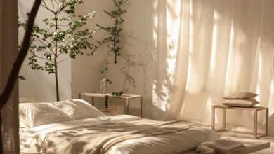 Minimalist Interior Design