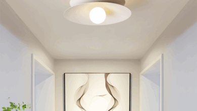 Modern Ceiling Lights