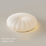 Modern Ceiling Lights