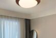 Modern Ceiling Lights