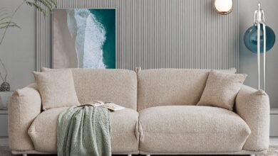Modern Comfortable Sofa Beds