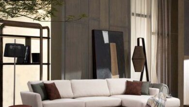 Modern Comfortable Sofa Beds
