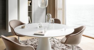 Modern Dining Chairs