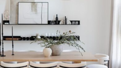 Modern Dining Chairs