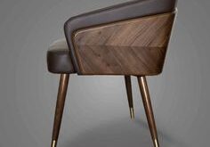 Modern Dining Chairs