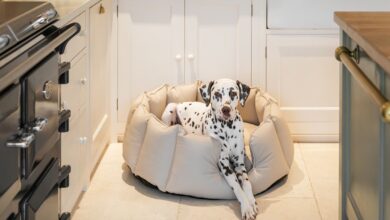 Modern Faux leather Beds