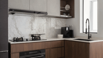 Modern Kitchen Ideas