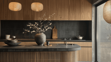 Modern Kitchen Ideas