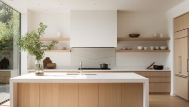 Modern Kitchen Ideas