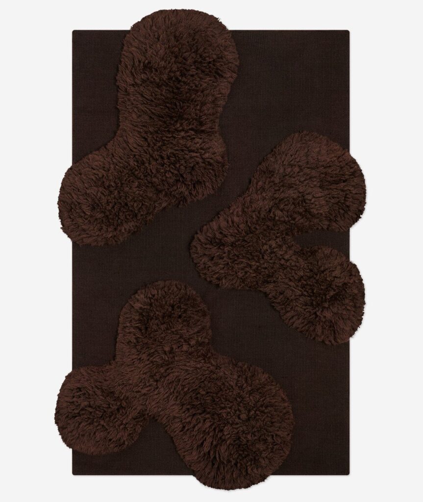 Modern Shag Rug