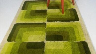 Modern Shag Rug