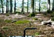 Natural stone worktop