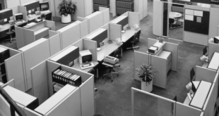 Office Cubicles