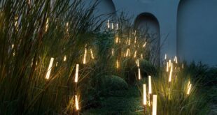 Outdoor garden light