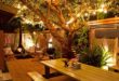 Outdoor lighting ideas