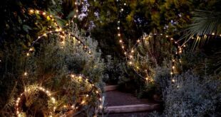 Outdoor lighting ideas