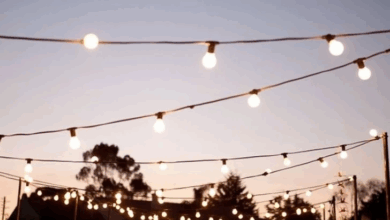 Outdoor lights for parties
