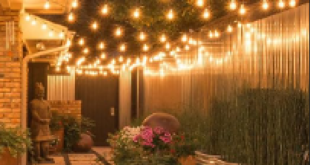 Outdoor lights for parties