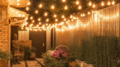 Outdoor lights for parties
