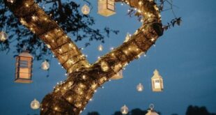 Outdoor lights for parties