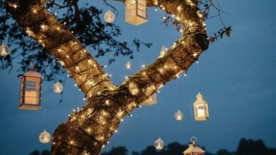 Outdoor lights for parties