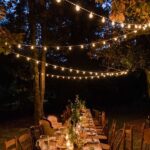 Outdoor lights for parties