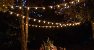 Outdoor lights for parties