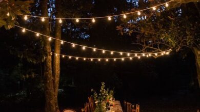 Outdoor lights for parties
