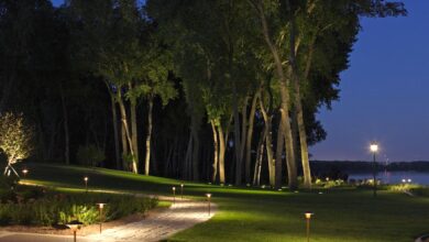 Outdoor security lights