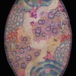 Oval Rugs