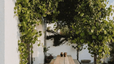 Patio Covers
