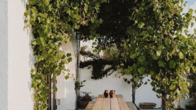 Patio Decks