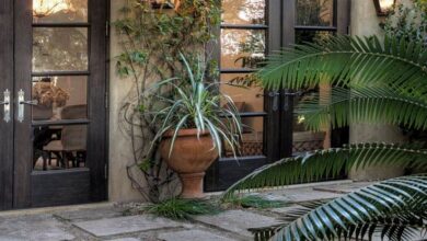 Patio Doors