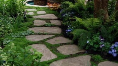 Patio Pavers