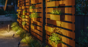 Privacy Fence Ideas