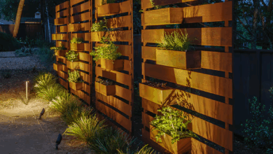 Privacy Fence Ideas