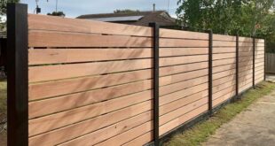 Privacy Fence Ideas