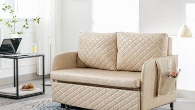 Pull Out Couch