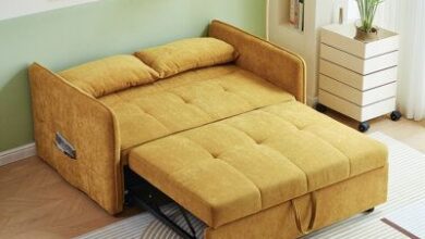 Pull Out Couch