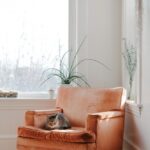 Reading Chair