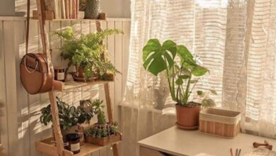 Room Ideas
