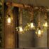 Rustic chandeliers