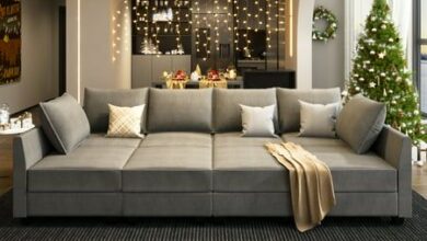 Sectional Couch With Bed