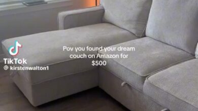 Sectional Couch With Sleepers