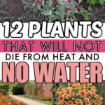 Simple Landscaping Ideas