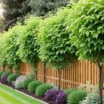 Simple Landscaping Ideas