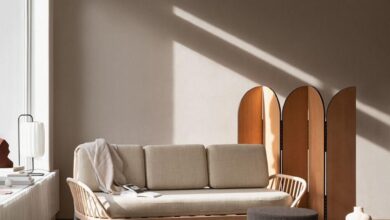 Single Bed Sofa